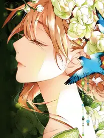 漫画纸鸢与旧胶片图鉴封面